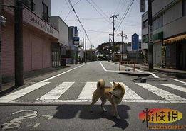 孤街的图片,静谧时光里的独白